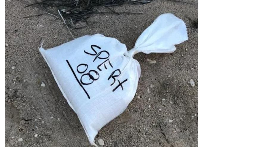 “¿Qué sabés del tema Fred?” Mensajes reveladores del vínculo Espert-Machado, agenda de viajes y un auxilio inesperado