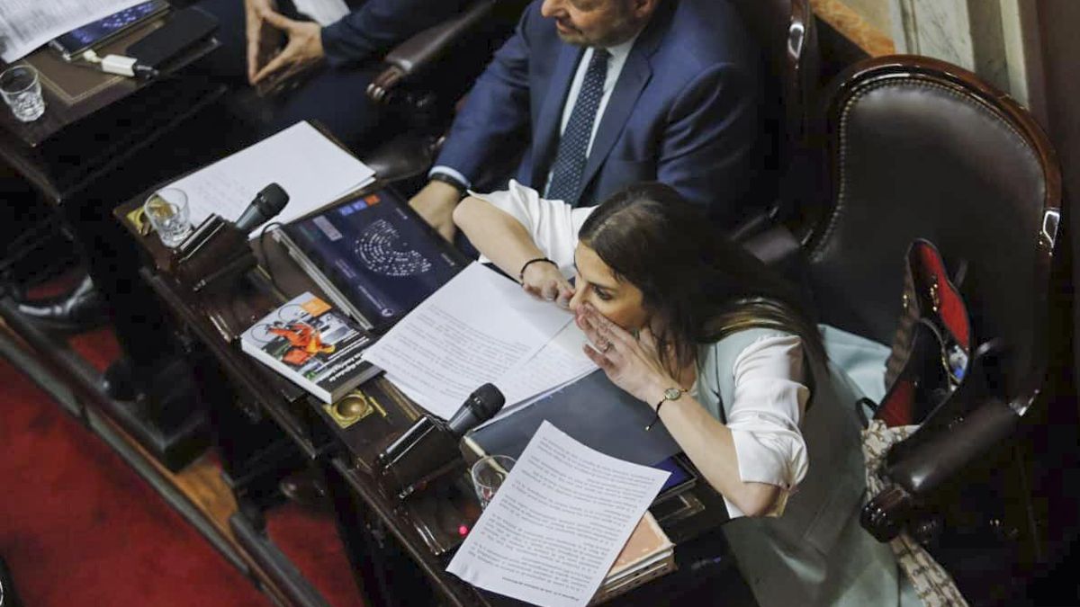 Marcela Pagano grita durante la presentación del informe de gestión de Guillermo Francos. A su lado, Carlos D'Alessandro.
